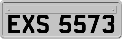 EXS5573