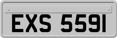 EXS5591
