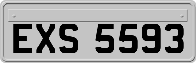 EXS5593