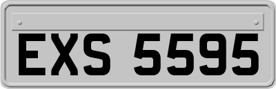 EXS5595