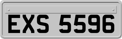EXS5596