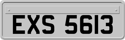 EXS5613