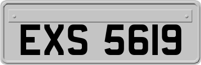 EXS5619
