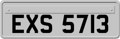EXS5713
