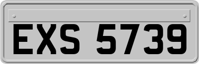 EXS5739