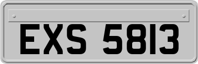 EXS5813