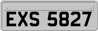 EXS5827