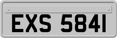 EXS5841