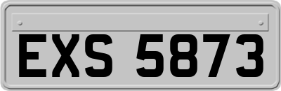 EXS5873