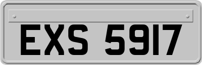 EXS5917