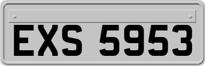 EXS5953