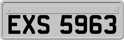EXS5963