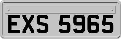 EXS5965