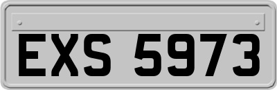 EXS5973
