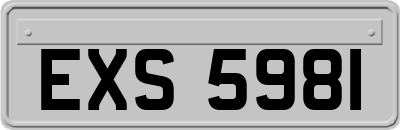 EXS5981
