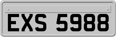 EXS5988