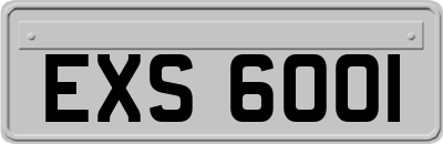 EXS6001