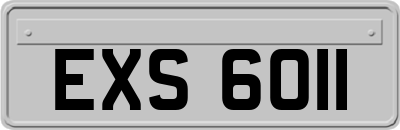 EXS6011