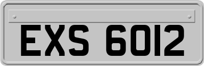 EXS6012