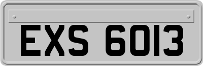 EXS6013