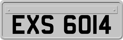 EXS6014