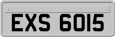 EXS6015