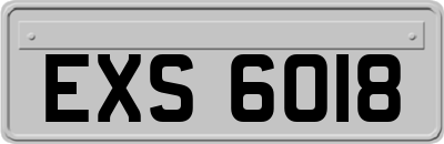 EXS6018