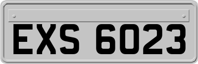 EXS6023