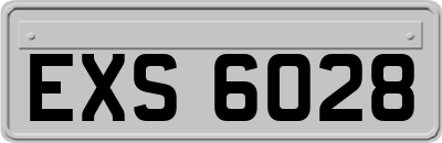 EXS6028