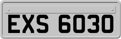 EXS6030
