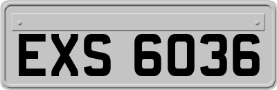 EXS6036