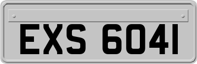 EXS6041