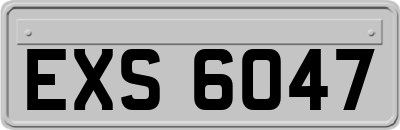 EXS6047