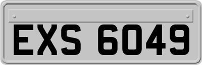 EXS6049