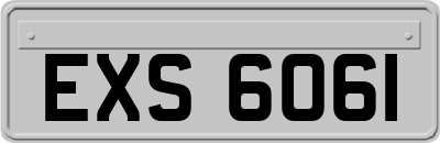 EXS6061