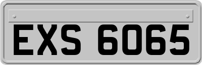 EXS6065