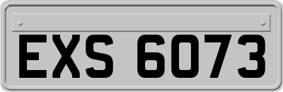 EXS6073