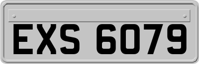 EXS6079