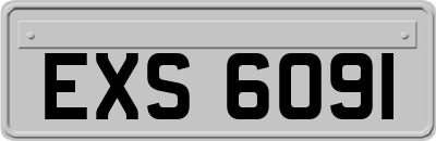 EXS6091