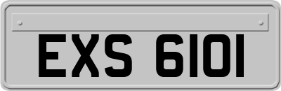 EXS6101
