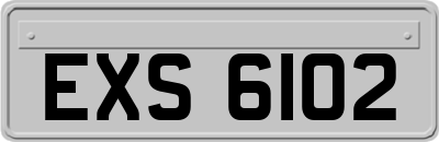 EXS6102