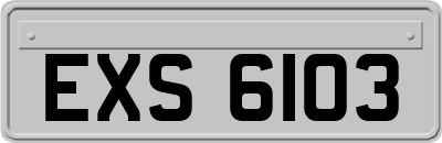 EXS6103