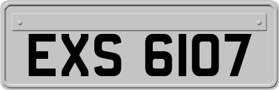 EXS6107