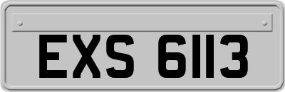 EXS6113