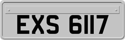 EXS6117