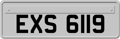 EXS6119