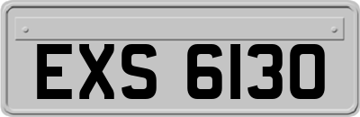 EXS6130