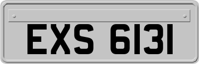 EXS6131