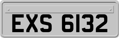 EXS6132