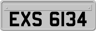 EXS6134